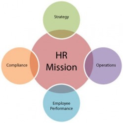 Interim HR Consultancy - Cooper HR Solutions Ltd and CRS Recruit